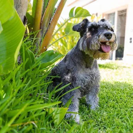 Semesterbostad Kore, Capo Vaticano