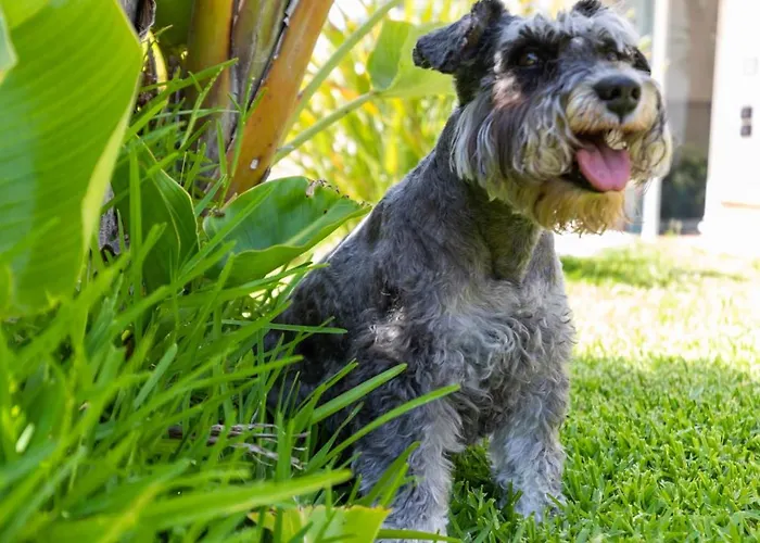 Ferienhaus Kore, Capo Vaticano